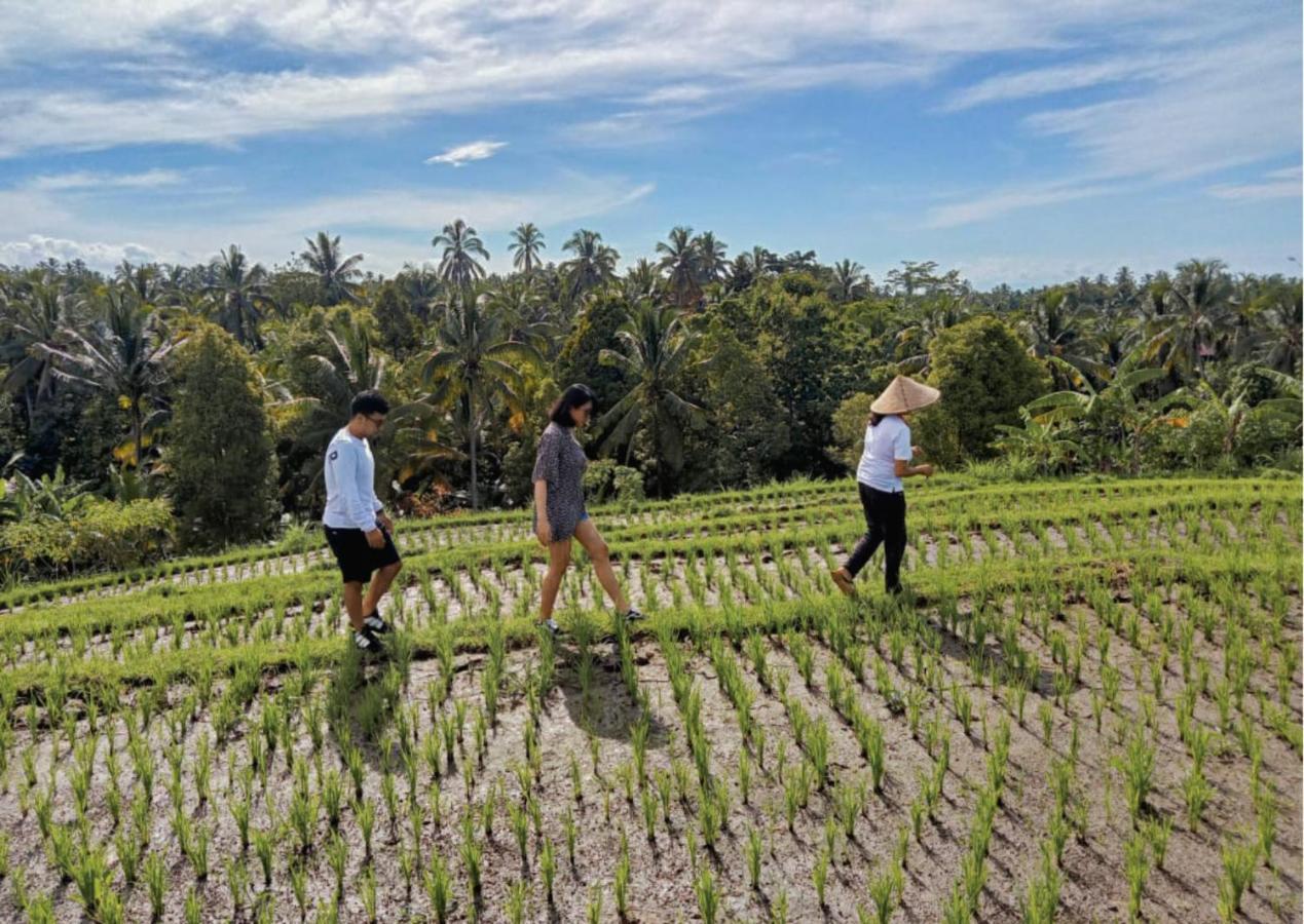 Amarta Pesagi Retreat Tabanan 빌라 외부 사진