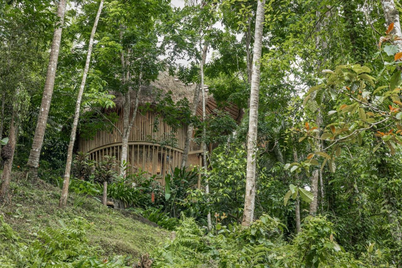 Amarta Pesagi Retreat Tabanan 빌라 외부 사진