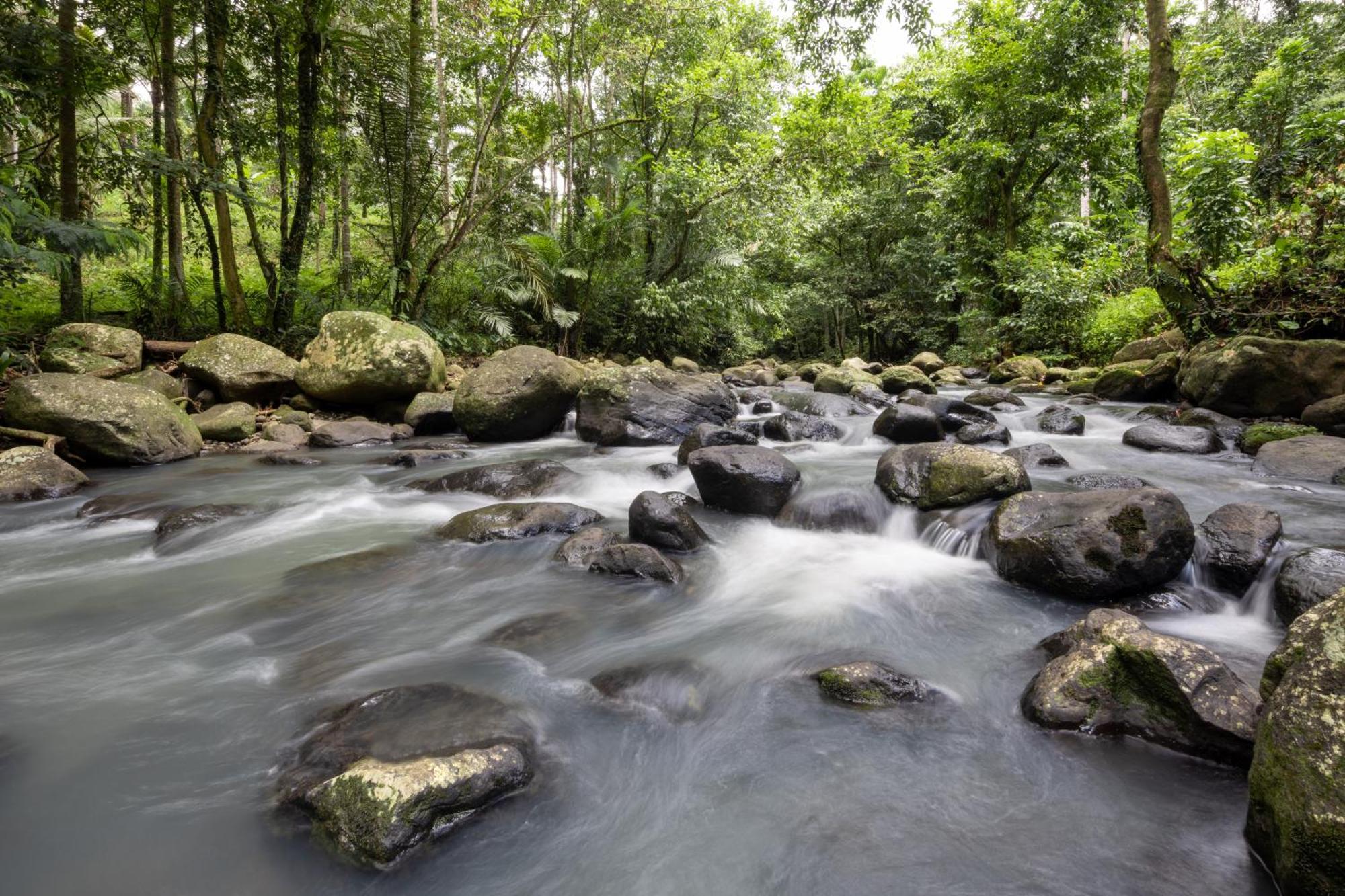 Amarta Pesagi Retreat Tabanan 빌라 외부 사진